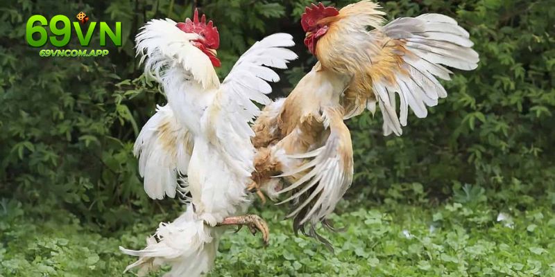 Tiêm ngừa kịp thời để kê phòng tránh dịch bệnh