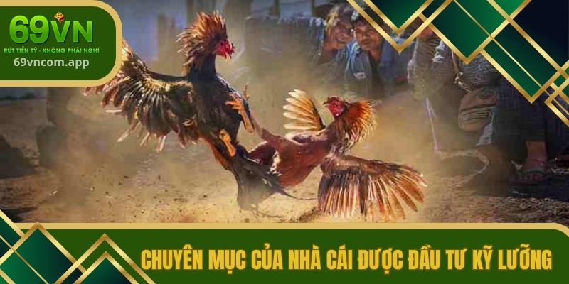 Nhà cái đầu tư kỹ lưỡng về âm thanh, hình ảnh