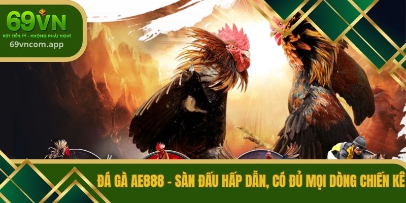 Đá gà AE888