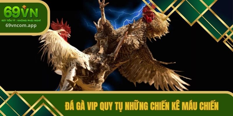Đá gà Vip quy tụ những chiến kê máu chiến
