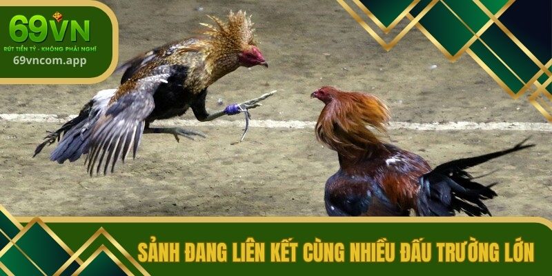 Sảnh đang liên kết cùng nhiều đấu trường lớn