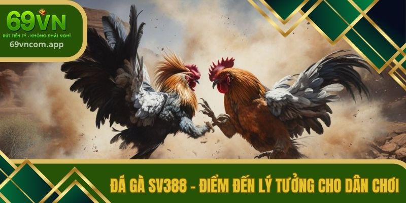 Đá gà SV388