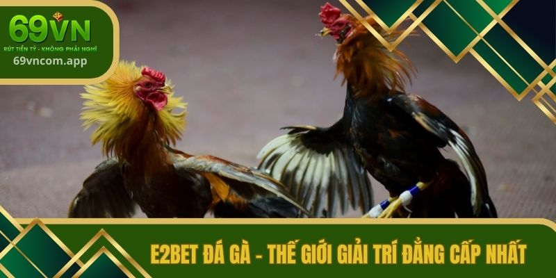 E2BET đá gà